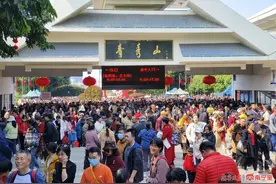 邕城好春光，“花花世界”迷人眼图片