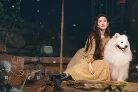 去有风的地方图片