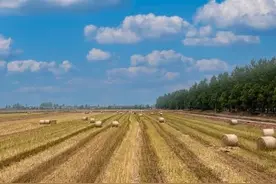 农村土地流转协议图片