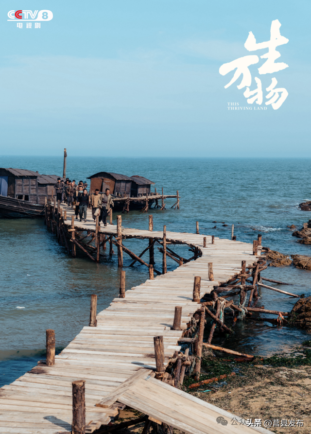 后劲很大！央视报道日照，《生万物》取景地迎旅游热潮！
