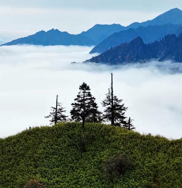 唐家河的秋：把山河晕成了打翻的颜料盘