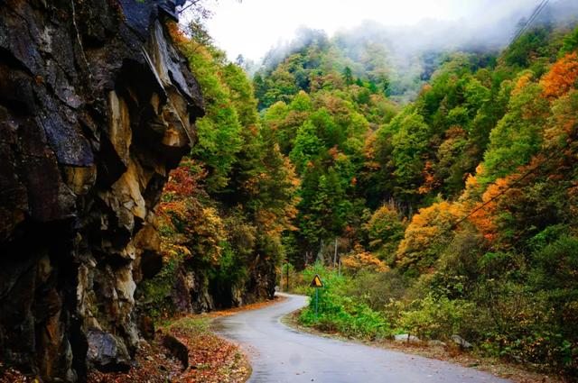 来洋县华阳!赴一场秋日之约~
