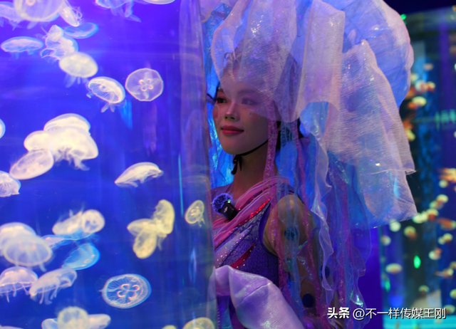 深圳国庆出游新地标！小梅沙海洋世界双园联动“海与火”狂欢模式