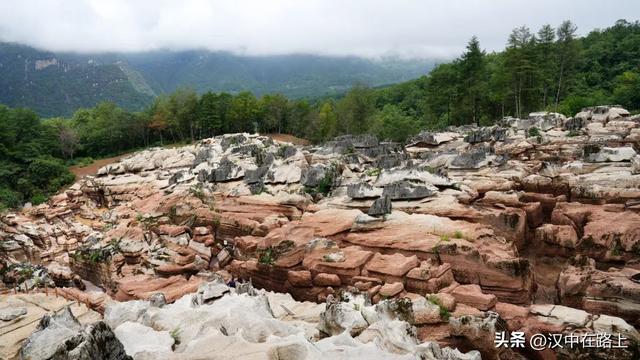 酷暑难耐？躲进宁强「山水秘境」，解锁23℃的清凉夏天~