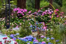 8000㎡绣球花海上新 60余项科创成果亮宝 3000张门票免费送武汉植物园五一开启“自然邂逅科技”跨界嘉年华​​图片