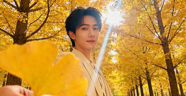 那抹刷屏的银杏黄：藏着3亿人的社交渴望与文化乡愁