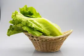 吃生菜、芹菜、菠菜危害健康？医生：这几种蔬菜才需要少吃点图片