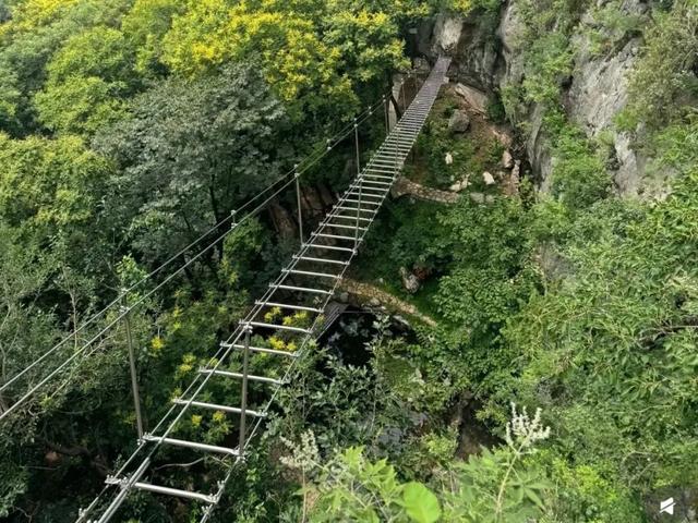 母亲节，别再发朋友圈说“我爱您”——妈妈要的不是点赞，是你在身边