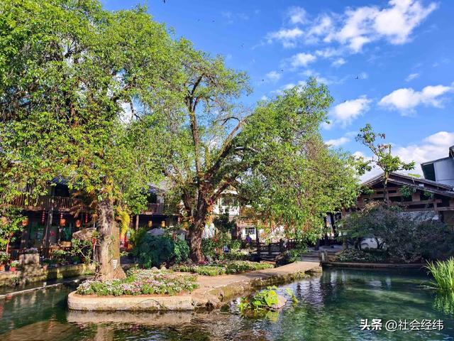 腾冲玉泉园：古景藏幽境，小桥流水似桃源