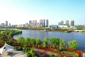 这两个经济大省，要共建“新城”图片