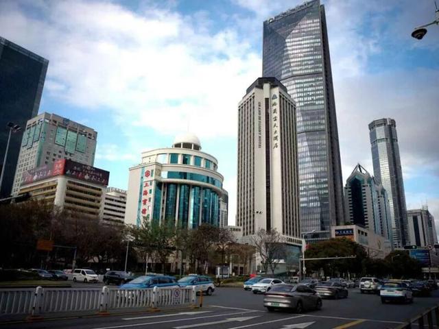 深圳人深情表白：“因为一条路，爱上一座城！”
