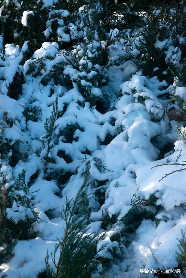 晨晓微曦的雪棱光