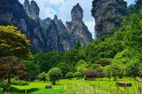 我是北方人，对遥远的湖南有六大疑问，希望大家帮我解惑！图片