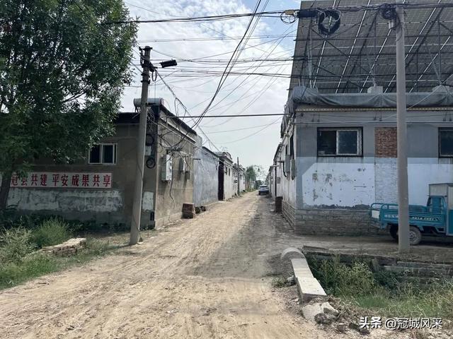 冠县乡韵·定远寨镇前杏园村