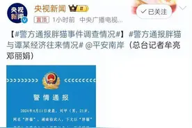 胖猫事件大结局：谭竹无罪，姐姐被处罚，而我们网友像小丑一样…图片