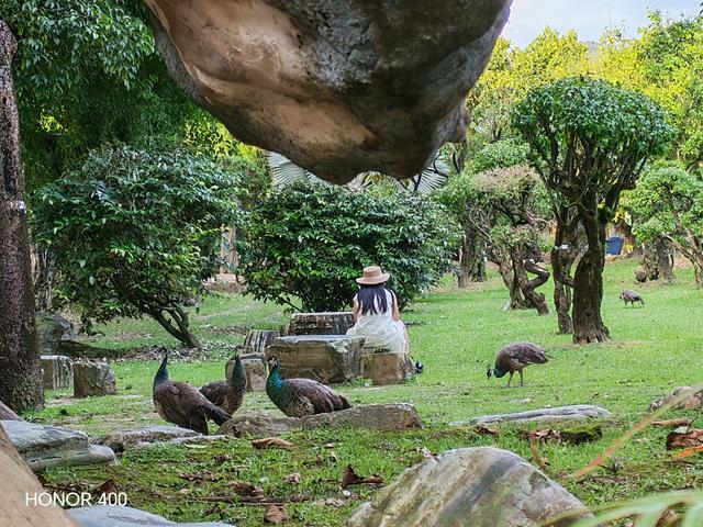 云南腾冲之旅