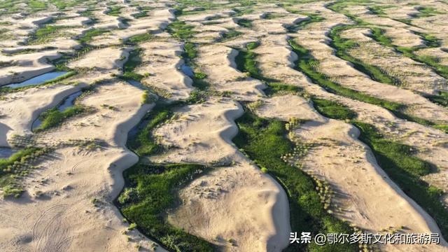 这就是杭锦旗“非来不可”的理由！