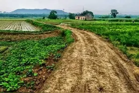 为何不建议城里人回乡下养老，或许这就是答案图片