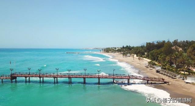 一张旧船票，从基隆到厦门，载着半个世纪沉甸甸的乡愁