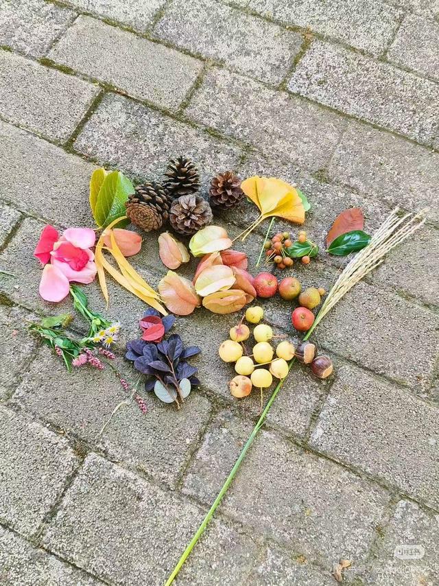 临沂秋日捡秋啦 | 把秋天，装进你的时间胶囊~