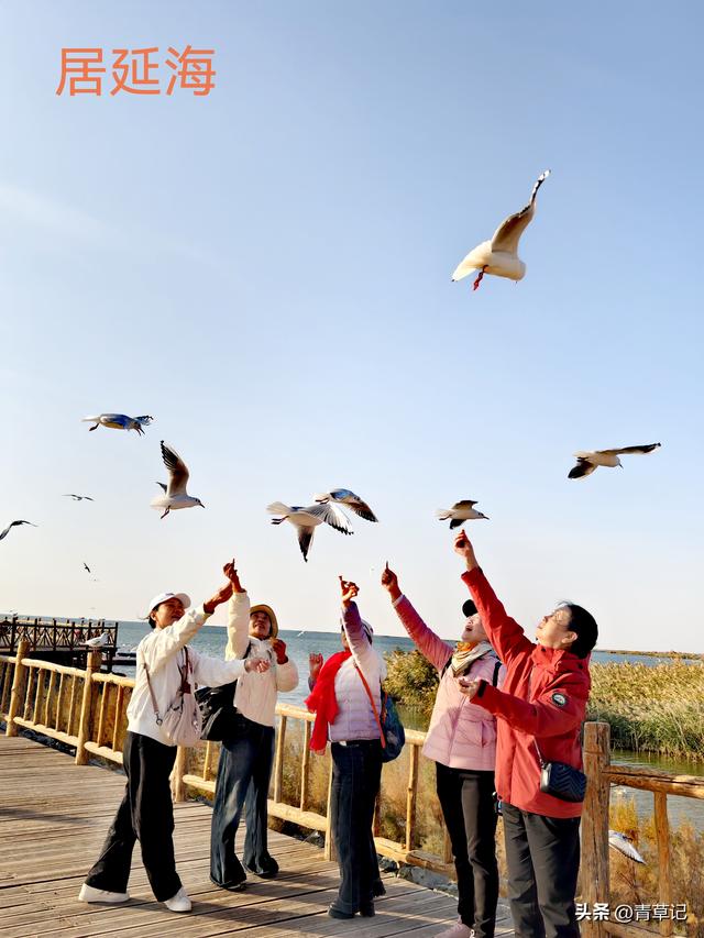 穷游15天（20）15天玩了20多个景点消费3385元