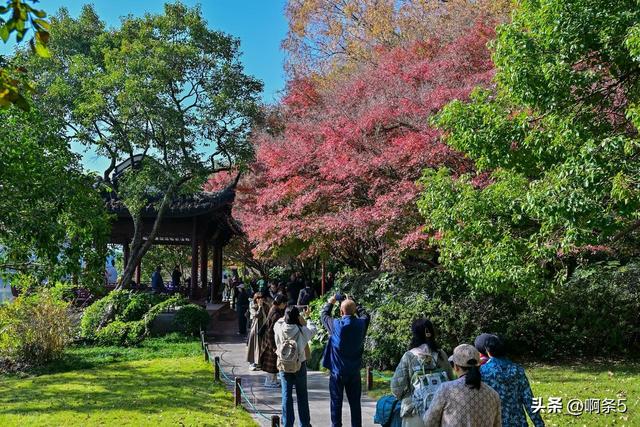 杭州西湖的景色还不错！