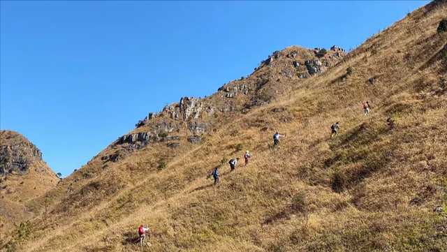 15人攀登老公顶，因大雾误入悬崖失联，被马蜂疯狂蜇咬毒蛇拦路