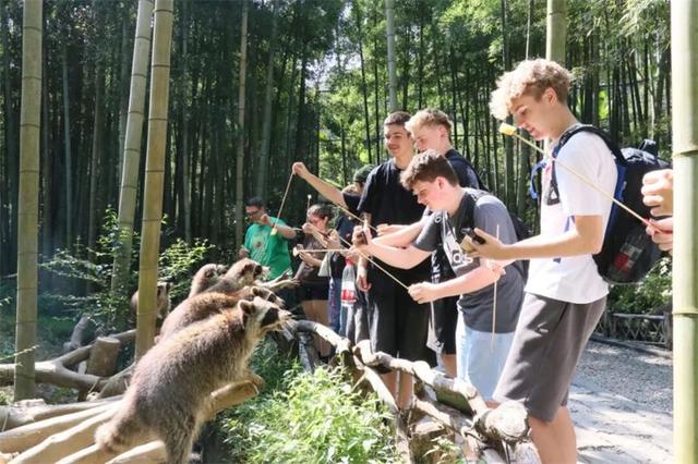 中德学子跨越山海的绿色对话：湄公河旅游旗下湖州长颈鹿庄园迎来德国霍恩林姆伯格高级文理中学师生到访