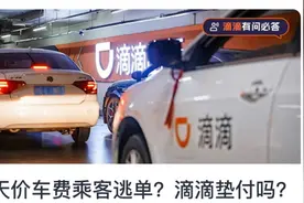 2024年上半年乘客未支付车费1.29亿 由滴滴支付给司机图片