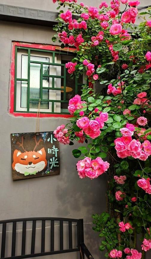 成都又一公园火了，不输人民公园，地铁直达能从早待到晚