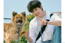 内娱赘婿上新：男糊咖们狂吸女星血，这些赘婿好难甩啊图片