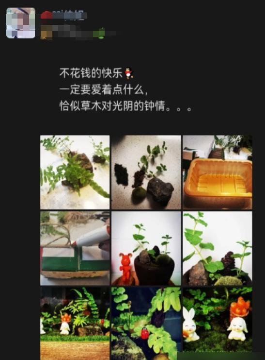 阴花不能进阳宅！这5种花“打死”也不养，家里若有？快挪走!