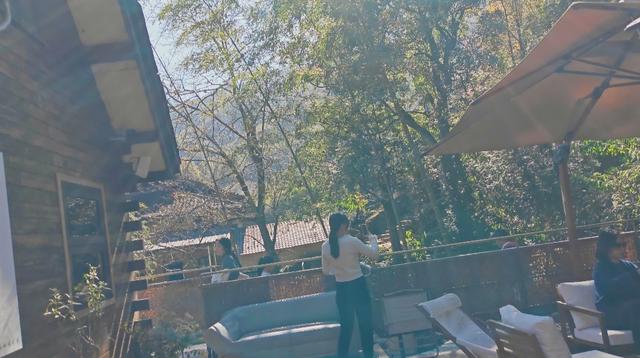 郁郁银杏无非般若，青青溪石尽是法身：宜春南惹古村印象（聂朋