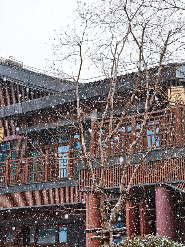 不负等待！高岭文化村终于下雪啦