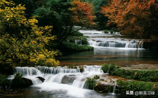 深秋想赴一场“森”系约会？来邛崃就够了！