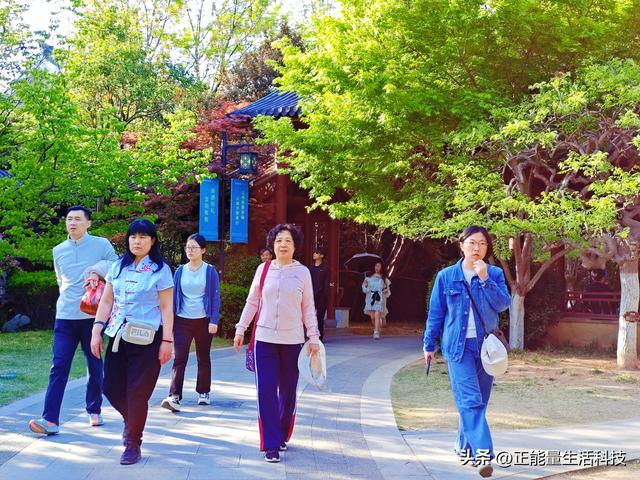 青岛城阳这处“国色天香”藏不住了！火爆了！