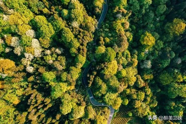 期待！邛崃市IMTA全域户外徒步道建设正式启动！