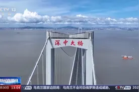 深中通道开通后 将给物流、产业布局带来哪些变化？图片