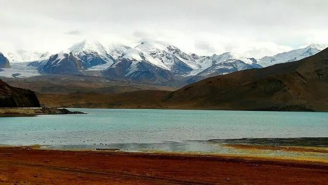 邢强 | 秋游南疆