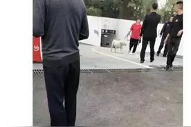 成都幼童遭恶犬撕咬后续：黑色狗主人已找到，无力赔偿医药费用图片