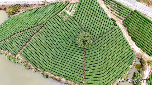 武义双岩里水库景美，周末放松的好地方