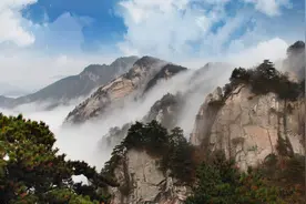 免费、半价！图片