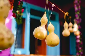 家有葫芦，福禄深厚，葫芦的作用和如何摆放你知道吗？图片