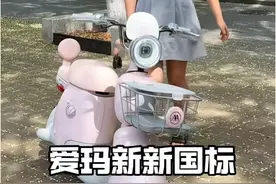 新版国标电动车怎么选？工信部：目前只有这4个品牌！车型已亮相图片