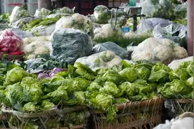 品种丰富，供应充足！今年春节成都“菜篮子”有保障图片