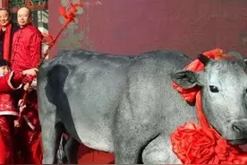 古代好男好女的标准：从“好男有毛不鞭春，好女有膘不看灯图片