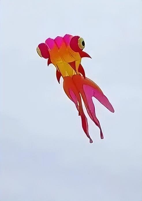 春假在金堂咋个耍？这篇推文告诉你答案→