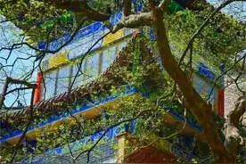 十城联动 | 打卡宿州萧县图片