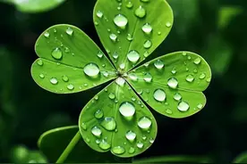 诗僧齐己古诗八首，平淡意远，禅意十足，云无空碧在，天静月华流图片