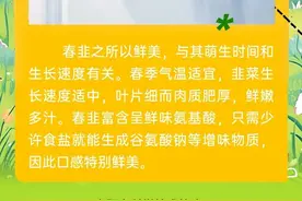 科普南阳丨别嫌韭菜有味儿，早春真的建议你多吃！图片